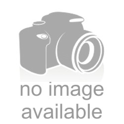 Canon PowerShot A450